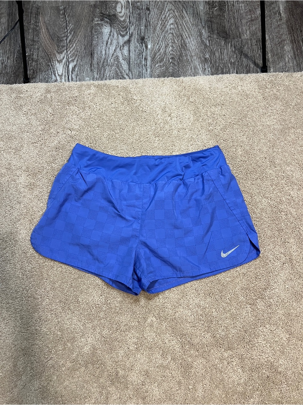 Women’s XL Nike Shorts (PURPLE)